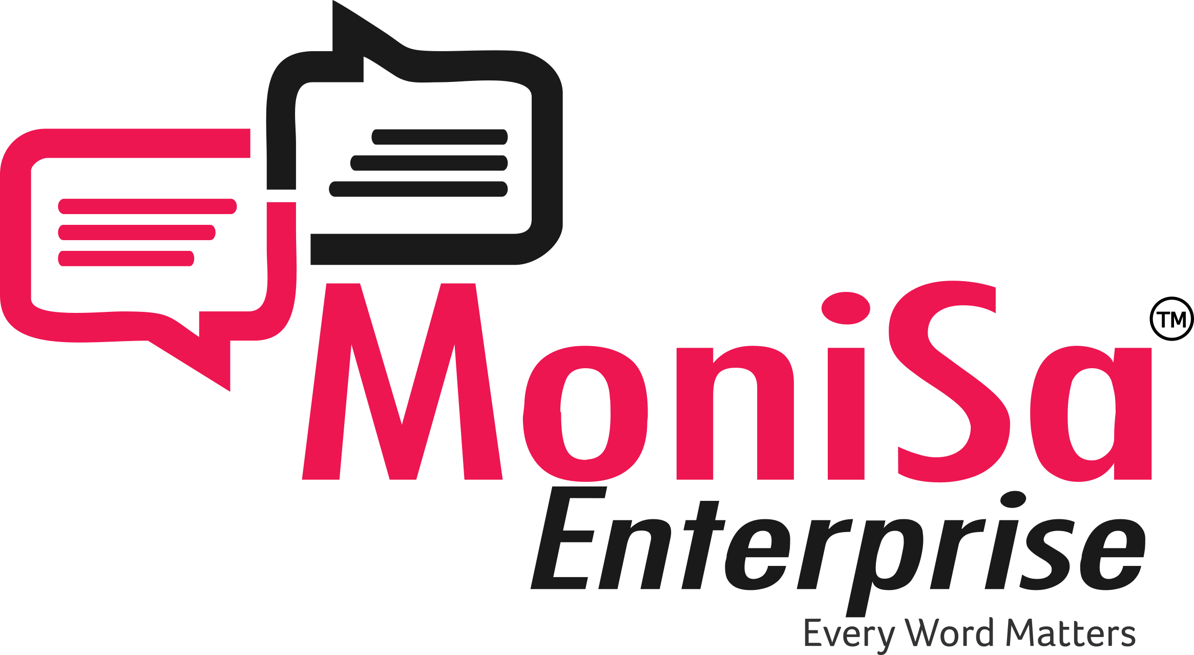 MoniSa Enterprise Pvt Ltd  Logo